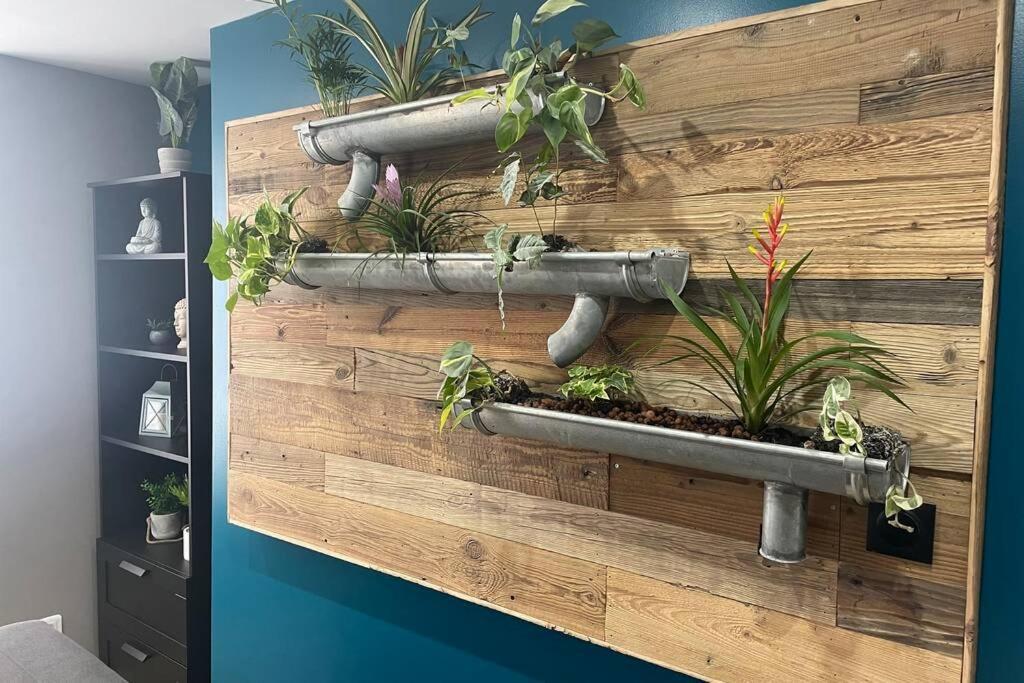 Appartement Cosy, Wifi Gratuit,5 Min De La Gare Boulogne-sur-Mer Exteriör bild